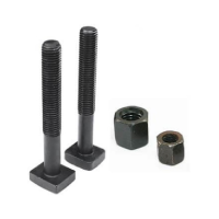 T Slot Bolt and Flange Nuts